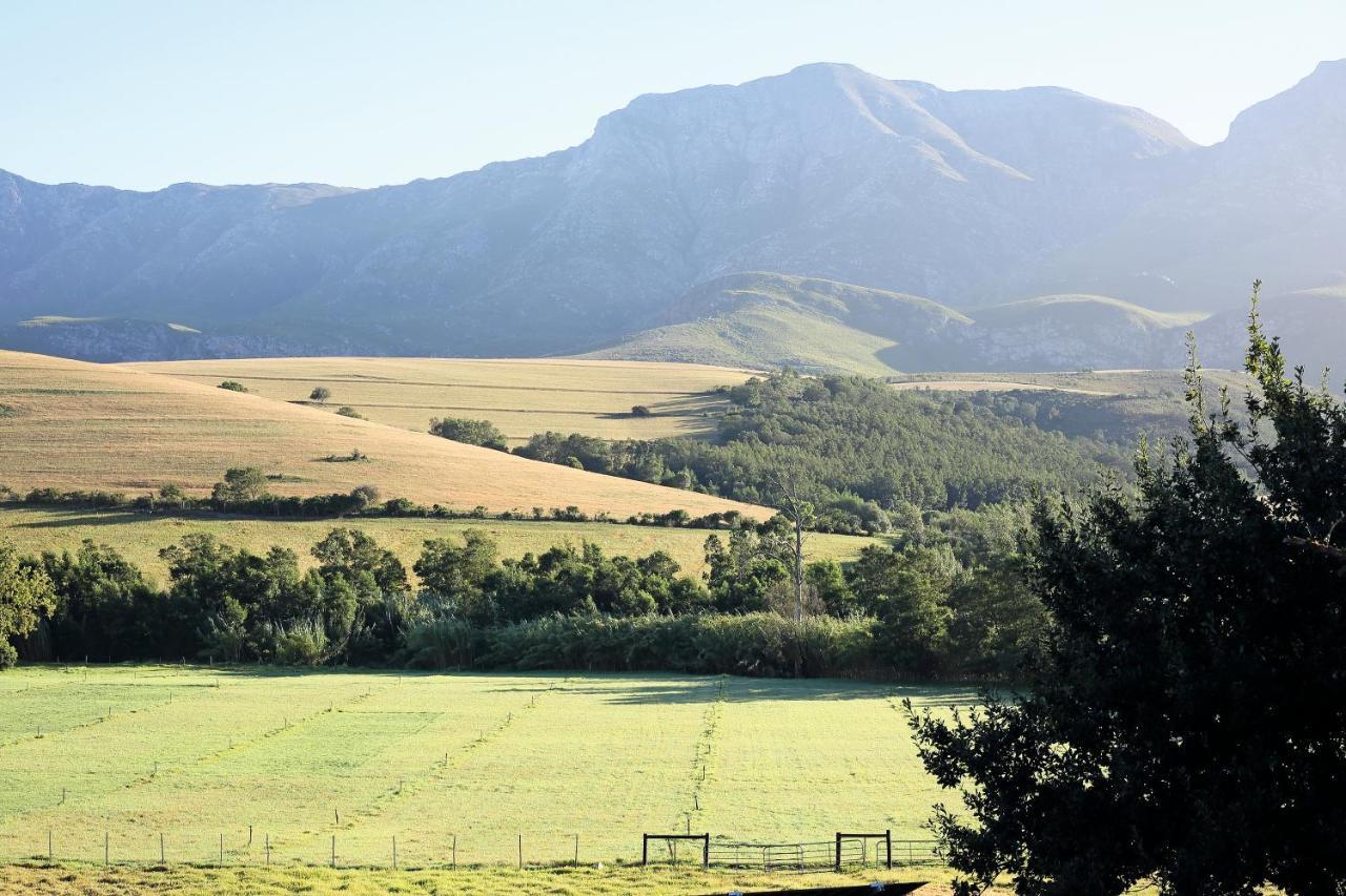 Maison d'hôtes Joubertsdal Country Estate à Swellendam Extérieur photo